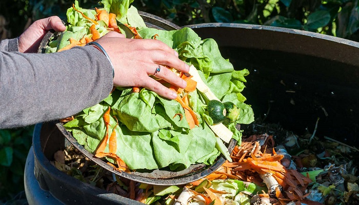 Suud 1 Trilyon Dolar Değerinde Gıda İsrafı Yapıyor