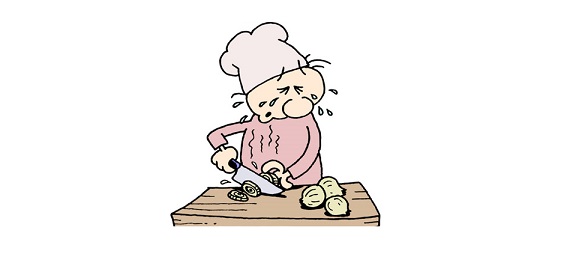 Göz yaşartıcı bir soğan hikayesi