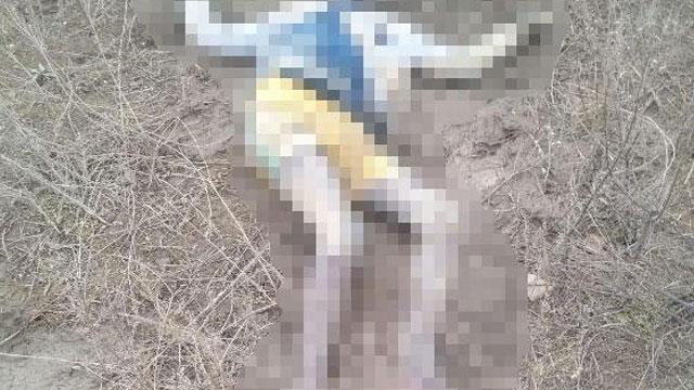 Yunan Vicdansızlığı