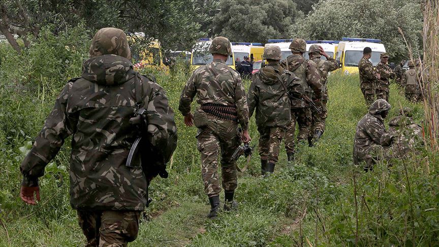 Cezayir Ordusu Krizde