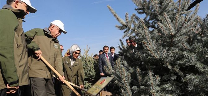 81 İl'de 11 Milyon Fidan Dikildi