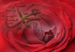 Ya Habibi Ya Muhammed (VİDEO-KLİP)