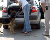 Heniyye'ye Bağlı Filistin Polisinin Büyük Uyuşturucu Operasyonu