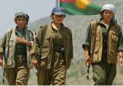 Komşudan PKK'ya Ağır Darbe