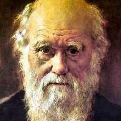 Darwin'cileri Kızdıran'Yaratılış Müzesi' Açıldı