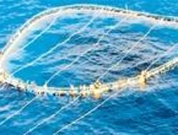 İnsanlık Ölmüş-Yığınlar Hep Cansız