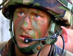 Harry'nin Birliği Savaşa, Harry Tatile