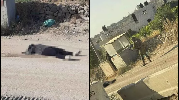 İsrail Güçleri Filistinli Bir Kadını Şehid Etti