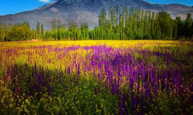 Iğdır Ovası Siyonistlere mi Satılıyor?