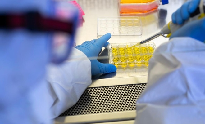 Akdeniz Anemisi Hastalığında Büyük Artış