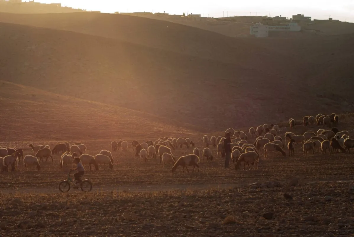 İsrail'de Sivil Yoktur! Filistinlilerin Suyunu Kestiler!