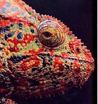 İzleyin, çok şaşıracaksınız (VİDEO)