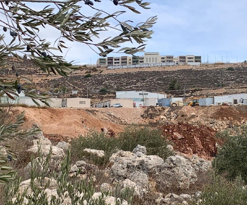 İşgalciler Batı Şeria'da Zeytin Ağaçlarını Hedef Aldı