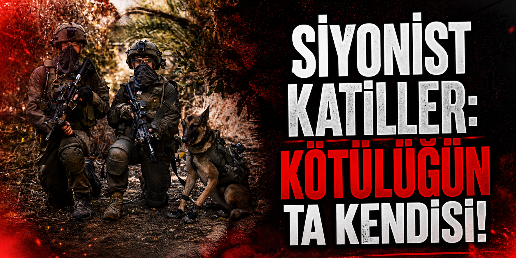 GAZZE’DE KÖPEKLERİ ÖLDÜRDÜLER