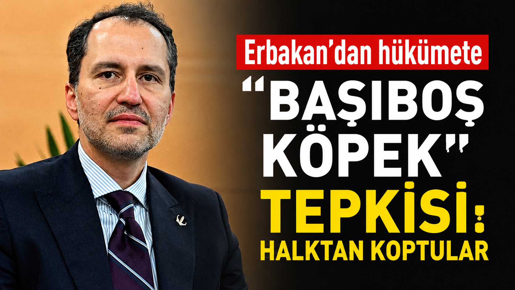 Erbakan'dan hükümete ''başıboş köpek'' tepkisi: Halktan koptular