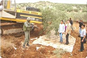 Annapolise Yahudi Tepkisi