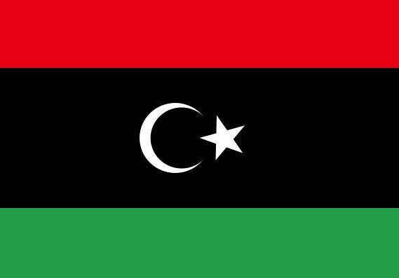 Kaddafi'yi Nokta Atışı İle Vuralım