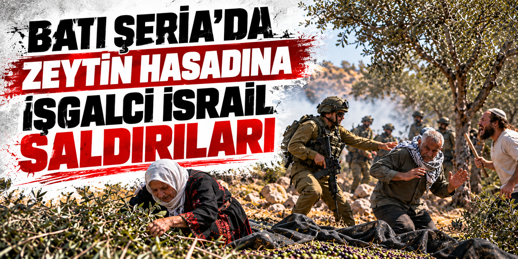 Batı Şeria'da Zeytin Hasadına İşgalci İsrail Saldırıları: 12 Saatte 13 İhlal!