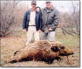 Füzeye Domuz Leşiyle Misilleme