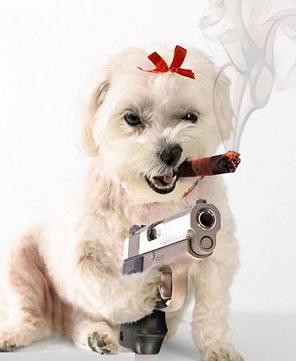 Paşa"nın yaptığı suç