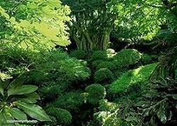 Yalnızlıkta Yaratıcıyı Daha Rahat Hissediyorum"