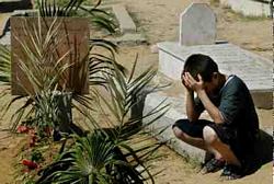 Anketler: 2008'de Filistinde Savaşa Devam