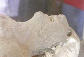 Luti Denizcilerin Ses Kaydı Çıktı