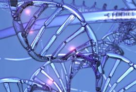 DNA Testleri Yanlış Çıkıyor