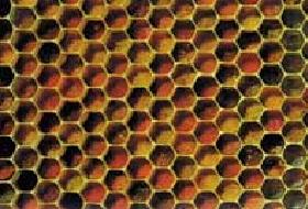 Türkiye: Bal peteği gibi yüzler