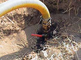 Hırsızlığın Bu Kadarı!