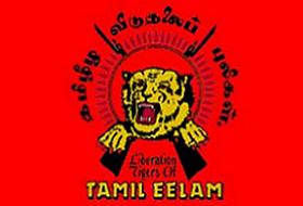 Tamillerle mücadelenin 3 yıllık bilançosu