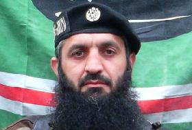 Çeçenistan'da Direniş Başarıyla Sürüyor