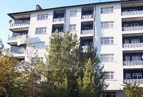 Kiracı 'Kral' oldu, istismar arttı