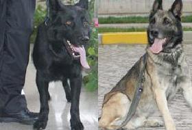 Erdoğan'a Koruma Üstüne Koruma