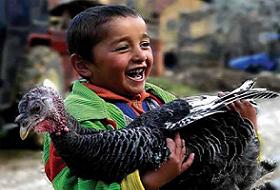 Hormonlu Gıdalar 3 Yaşında Buluğ Sebebi