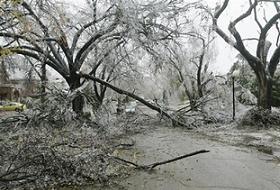 ABD'nin Gücü Kasırgaya Yetmiyor