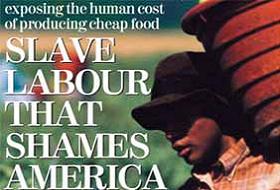 Amerika'da Kölelik Sistemi Ortaya Çıktı