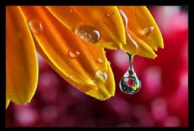 Allah'ın Kulu İsa (a.s)