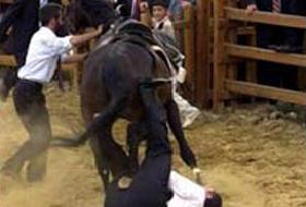 Coşkun'dan Erdoğan'ı Düşüren At'a Ağıt